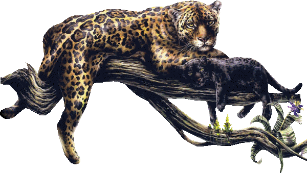 sticker_166449_2569163