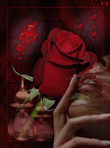 sticker_13214246_42218670