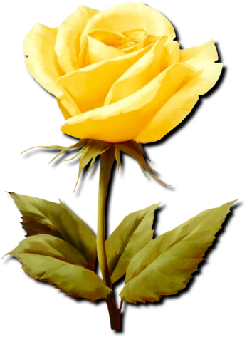 sticker_21834330_38443562