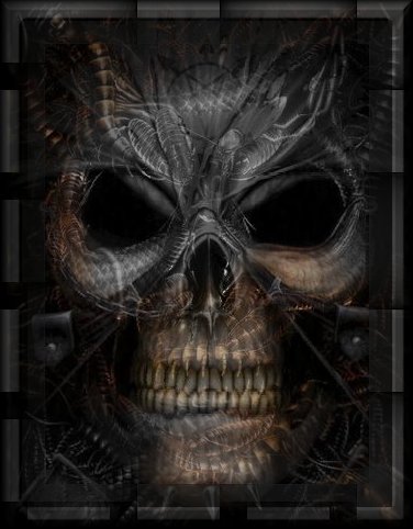 sticker_15505991_35393539