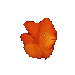sticker_25484182_37305985