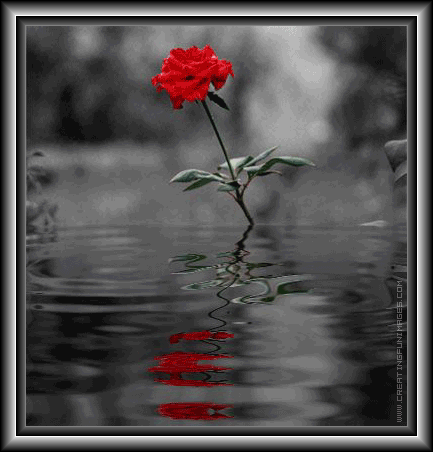 sticker_4021328_5304293