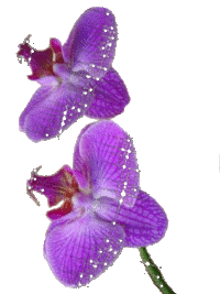 sticker_6227967_31180920
