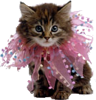 sticker_3384506_14667985