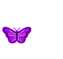 sticker_6964421_24082594