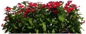 sticker_23663428_33622072
