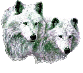 sticker_12547793_20129972