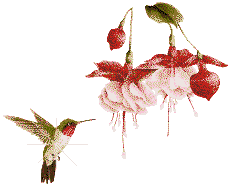 sticker_17747755_23603142