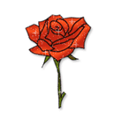 sticker_11782299_15254412