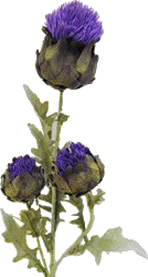 sticker_13709007_18470493