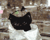 sticker_21907721_33775952
