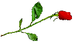 sticker_7607434_16531171