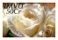 sticker_19895303_36946307
