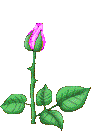sticker_6671682_21002393