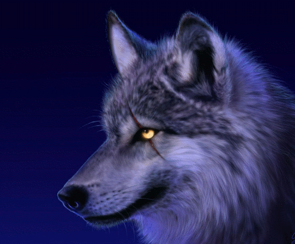 sticker_24957528_36707304