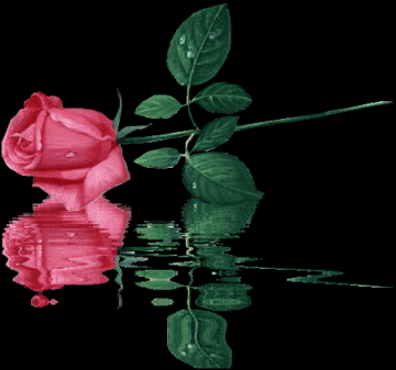 sticker_16415905_37468980