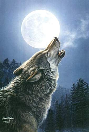 sticker_10145114_40175207