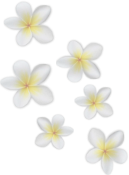 sticker_14950613_33046580