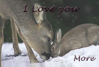 sticker_12844100_44246120