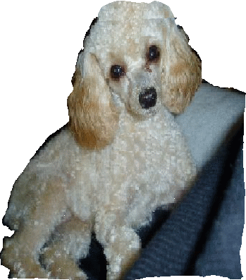 sticker_5437047_23378470