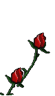 sticker_18824109_34835663