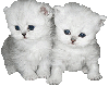 sticker_6671682_17386969