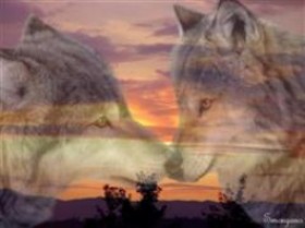 sticker_12070195_18602969