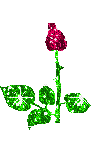 sticker_4335470_15991782