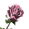 sticker_683877_1078457
