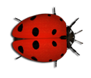 sticker_18368206_41188157
