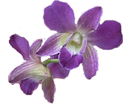 sticker_6227967_40187746