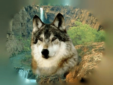 sticker_13216221_23159422