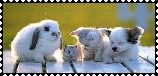 sticker_8987740_47553326