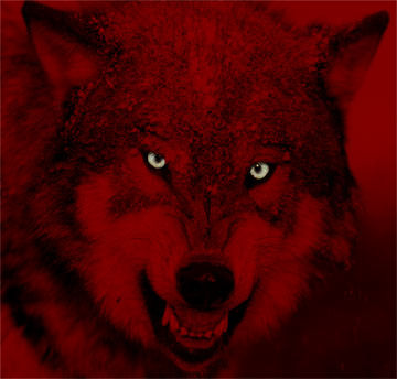 sticker_27998187_40611295