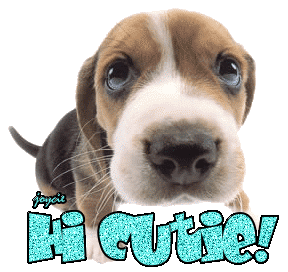 sticker_25875685_35550118