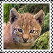 sticker_5524027_42020854