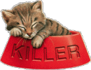 sticker_10039909_25673580
