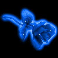 sticker_10782918_16204292