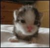 sticker_18826069_37876388