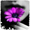 sticker_13709007_17373335