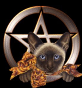 sticker_11641448_33248431