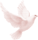 sticker_19903225_38862421
