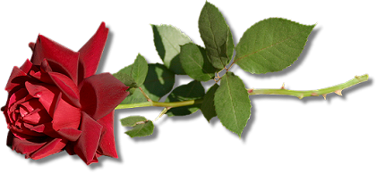 sticker_12767195_30619331