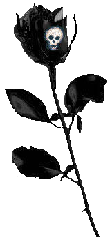 sticker_24227332_40124035