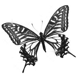 sticker_24128704_34457928