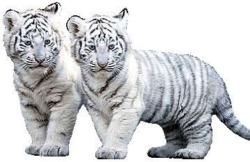 sticker_4124716_5441441