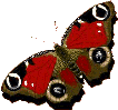 sticker_3282443_5883237
