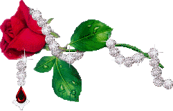 sticker_17823963_32993982