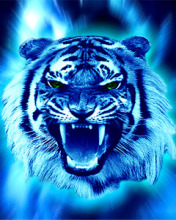 sticker_7441559_40609430