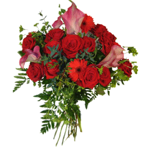 sticker_14532401_35133515